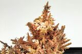 Needle-Like Gibbsite Coated Crocoite Crystals - Tasmania #206951-3